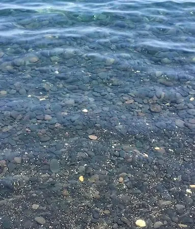 Terrace On The Sea *