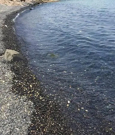 Дом отдыха Terrace On The Sea *