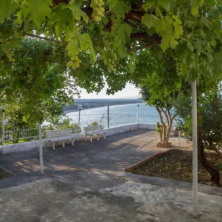Terrace On The Sea
