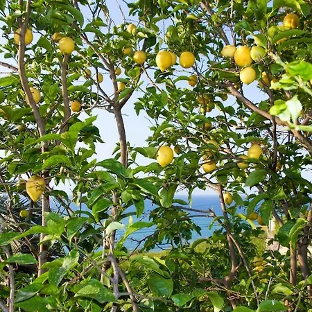 Terrace On The Sea Дом отдыха *